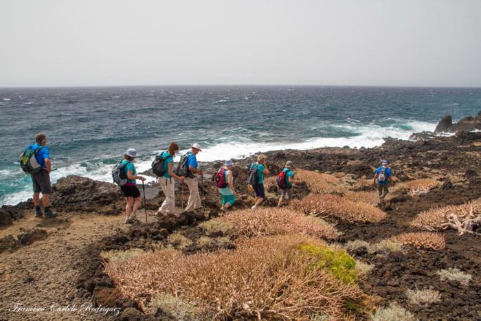 Piso Nuevo En El Puertito De Gueimar Al Lado Del Mar Realizamos Servicio De Excursiones Con Guia Puertito de Guimar Eksteriør billede