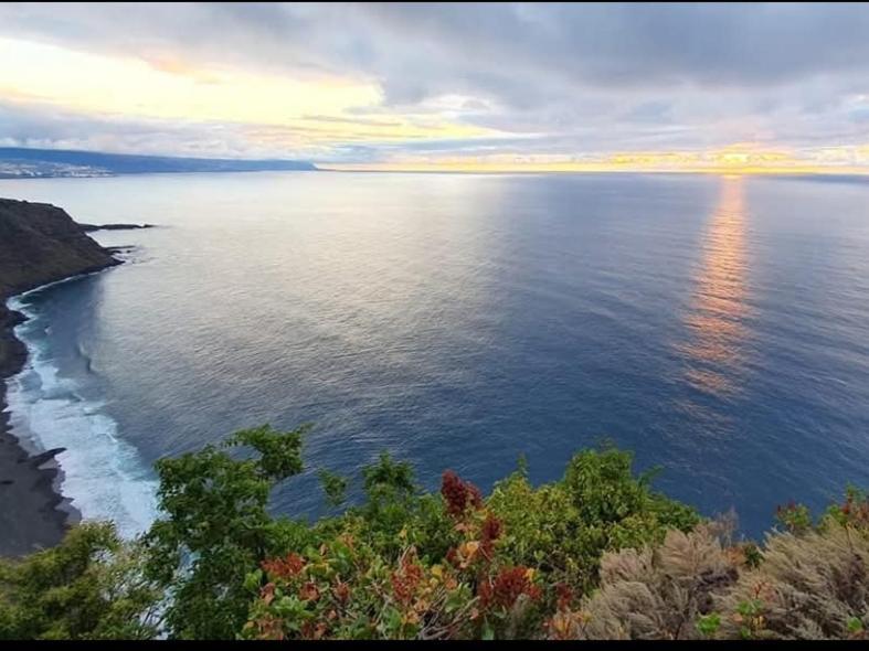 Piso Nuevo En El Puertito De Gueimar Al Lado Del Mar Realizamos Servicio De Excursiones Con Guia Puertito de Guimar Eksteriør billede